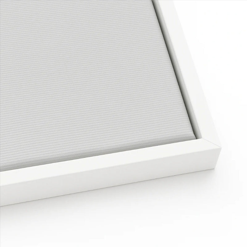 White Frame swatch